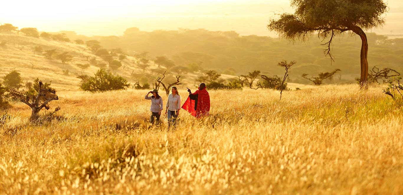 The Landscape and Environment