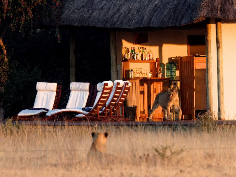 Nxai Pan - Wildlife in Camp - 3.jpg