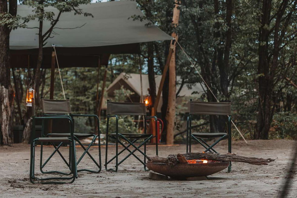 Camelthorn-Bush-Camp-Greater-Moremi-Botswana-11-1.jpg