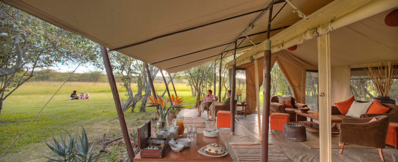 Encounter Mara in Naboisho with Safari Ambitions