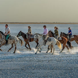 Ride Botswana Mobile Safaris