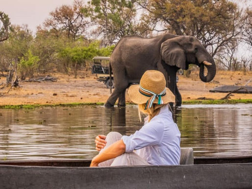 Lady wearing a straw hat sitting in a canoe on a river looking at a large elephant taking a drink from the water