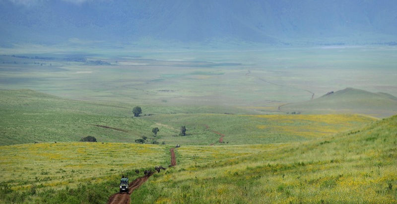 The Highlands Safari Camp in Ngorongoro Crater Tanzania with Safari Ambitions
