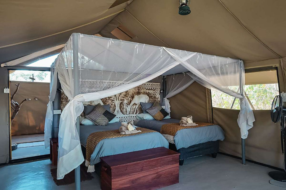 mhara-river-bush-camp-mana-pools-national-park-14.jpg