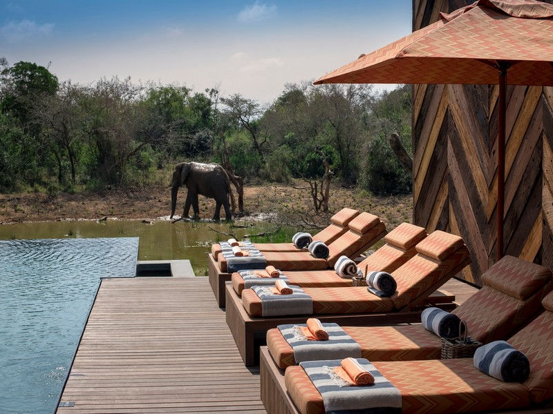 South-Africa-Phinda-Homestead-Guest-area-pool-loungers-with-elephant-Low-Resolution-Width=.jpg