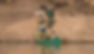 2 men and a lady in a green canoe on the Luangwa river with two safari guides standing on the bank behind them
