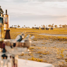 Moremi Crossing Camp