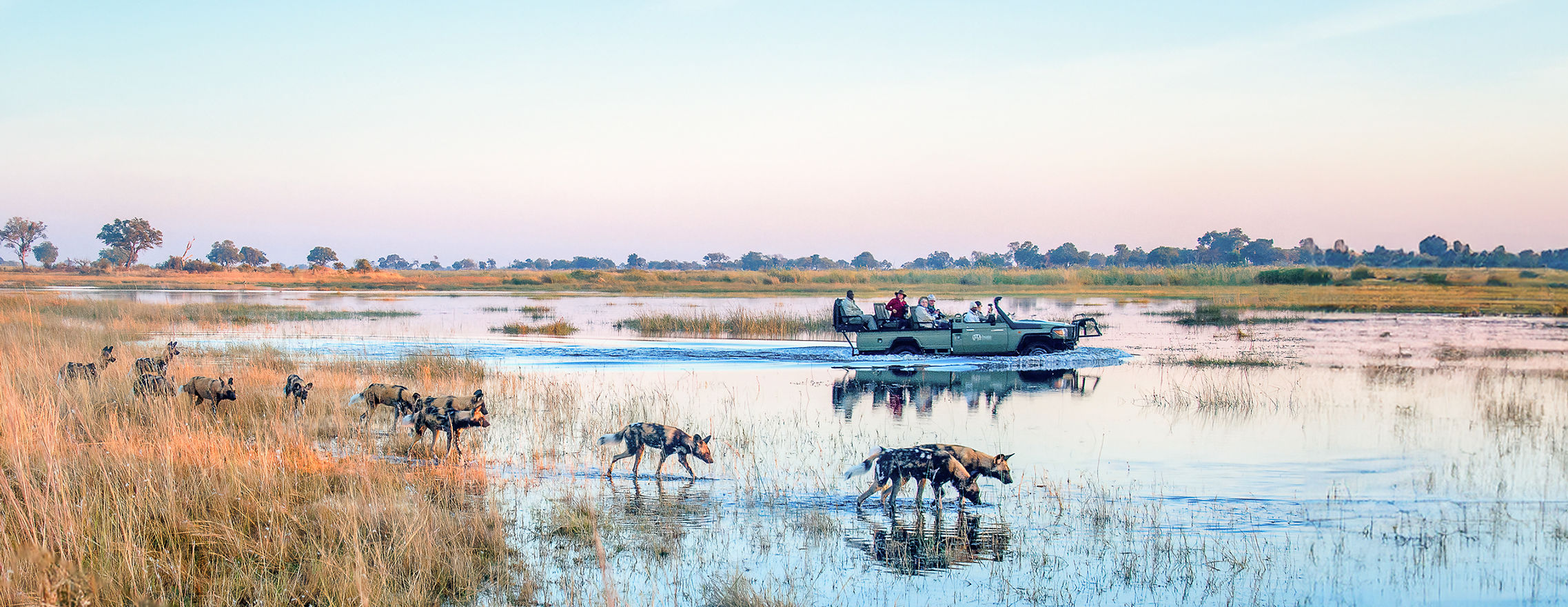 Kwando Lagoon Camp