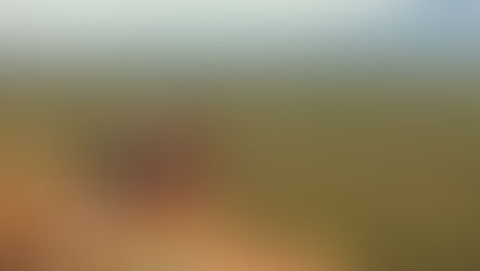 Samburu: Kenya’s Untouched Heart of Culture & Wilderness