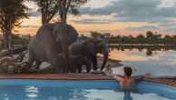 Man in a swimming pool in front of a river with 3 African elephants standing by the swimming pool