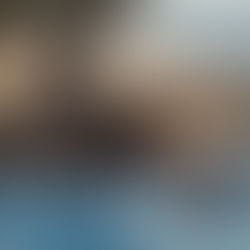 Man in a swimming pool in front of a river with 3 African elephants standing by the swimming pool