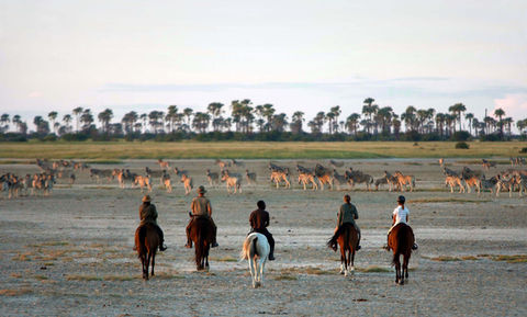A group of five people riding horses with impala in the background on their safari in Africa