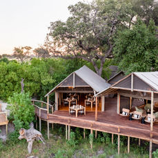 Natural Selection Mokolwane Camp