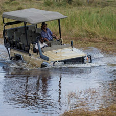 Top Strategies to Design a Truly Bespoke African Safari, Tailored to You