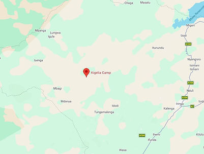 Ruaha
