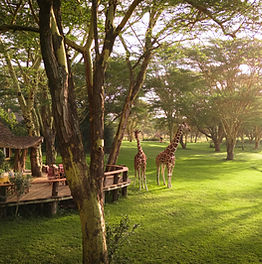 Travel Promoters, Sirikoi, Lewa, Kenya, Sirikoi Lodge