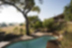 Overlooking the swimming pool at Lamai Private House in The Serengeti in Tanzania with Safari Ambitions