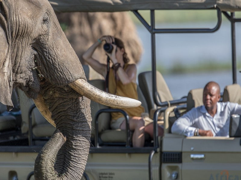 safari guide in an open top vehicle looking at a large elephant with a female client taking a photo