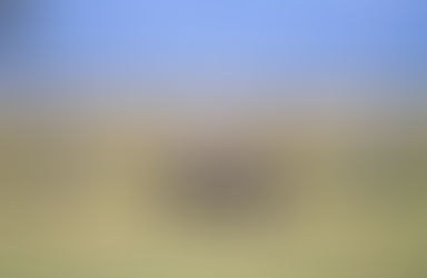 Discover the Ngorongoro Crater: Africa’s Lost World