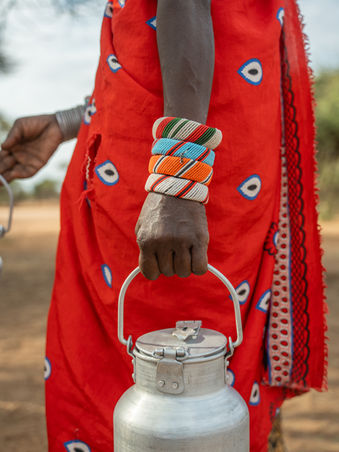 Conservation Safaris in Africa - supporting local communities with a local tribesman bringing in the milk