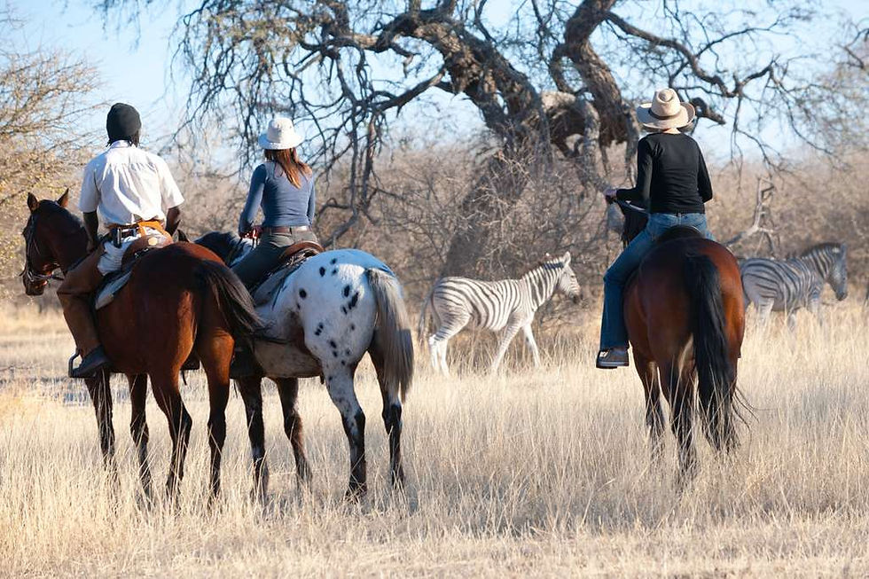 thamalakane-river-zebra.jpg