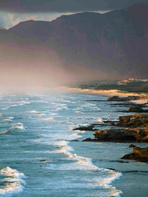 Safaris & Holidays in The Western Cape, South Africa