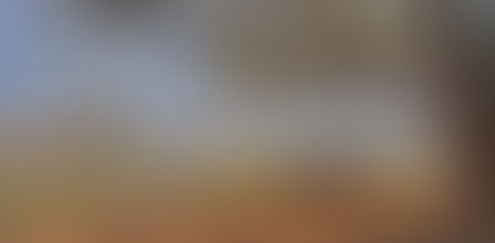 Mana Pools: Zimbabwe’s Untamed Luxury