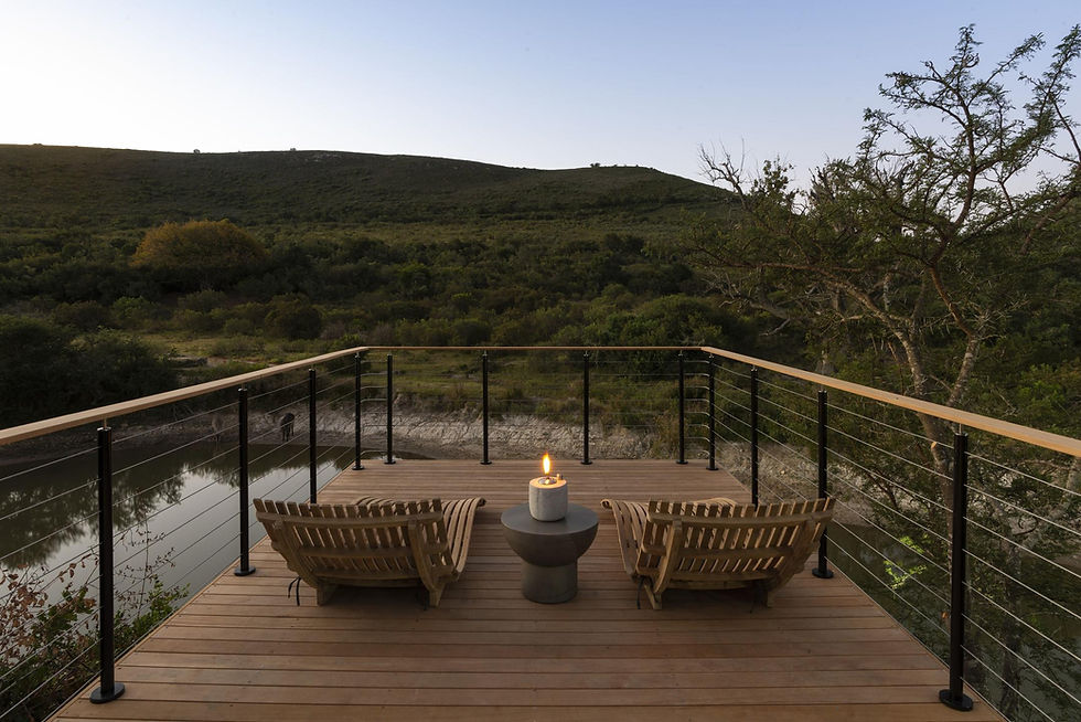 Bayethe on Shamwari Private Game Reserve_1.jpg