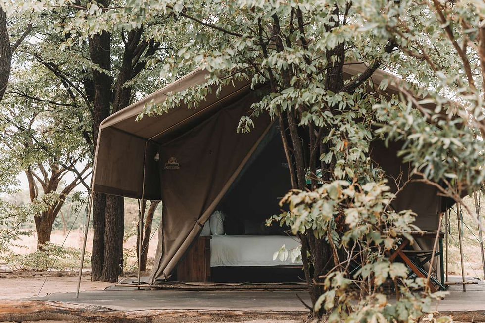 Camelthorn-Bush-Camp-Greater-Moremi-Botswana-17-1.jpg