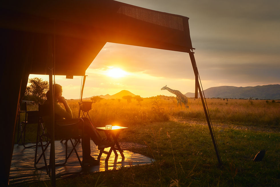Lady sitting on a canvas safari tent at sunset overlooking the safari plains with a single giraffe