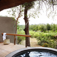 Londolozi Varty Camp