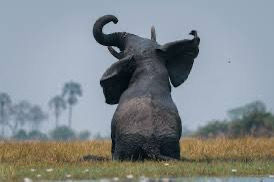 Incredible sightings await!