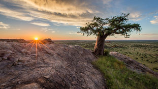 Conservation, Night Drives, Horseback Riding, Walking Safaris, Classic Game Drives