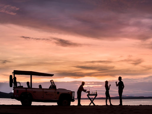 From Touchdown to Sundowner: How a Safari Chaperone Elevates Luxury Travel with Personalised Support