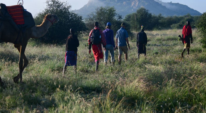 A group of five walkers with a Maasai guide and a camel walking in front of mountains at Tumaren Camp with Karisia Walking Safaris in Laikipia, Kenya