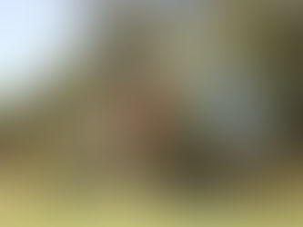 CAMPEÃO NACIONAL PEDRO LENCART COMANDA COM VOLTA DE SONHO*