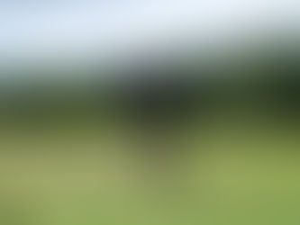 Batalha no Pitch & Putt