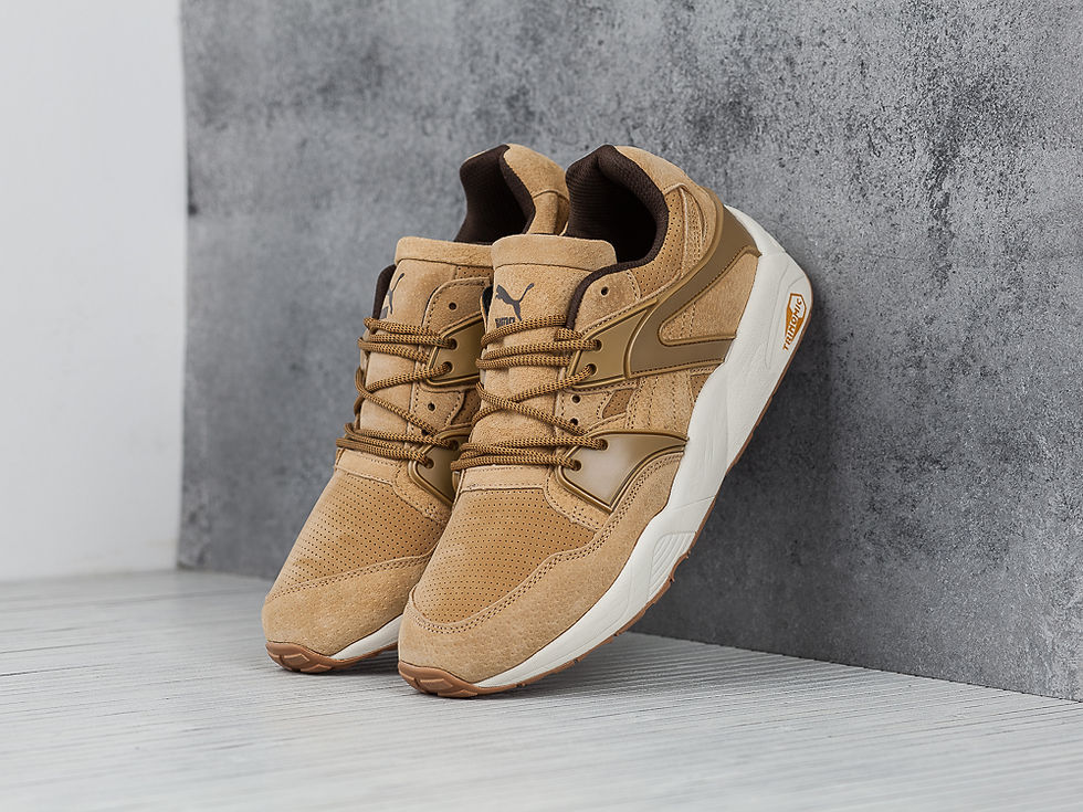 Кроссовки Puma Blaze Winterized