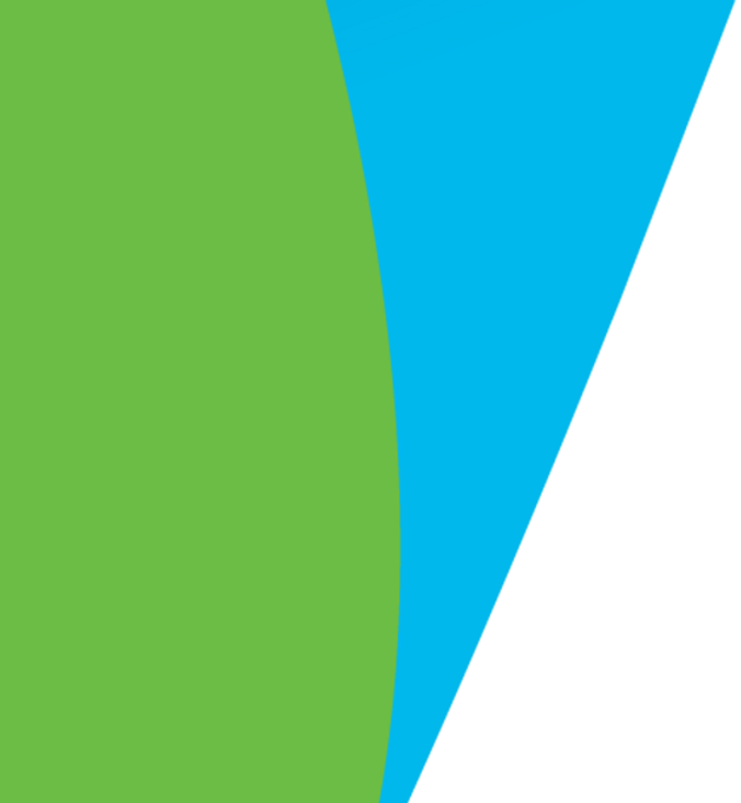 banner%20v%20right%20green_edited.png
