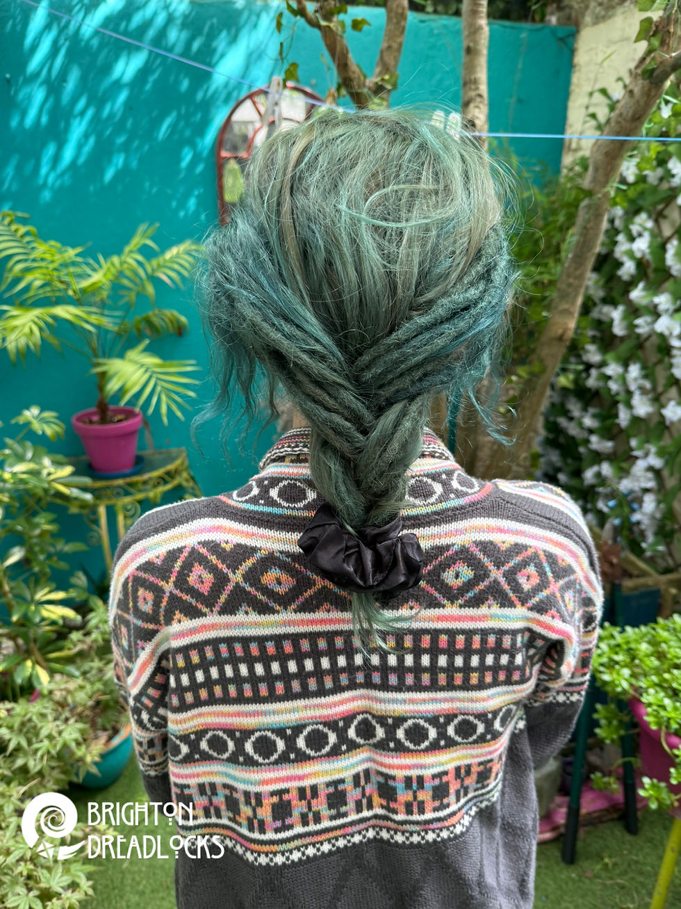 Dreads from Scratch