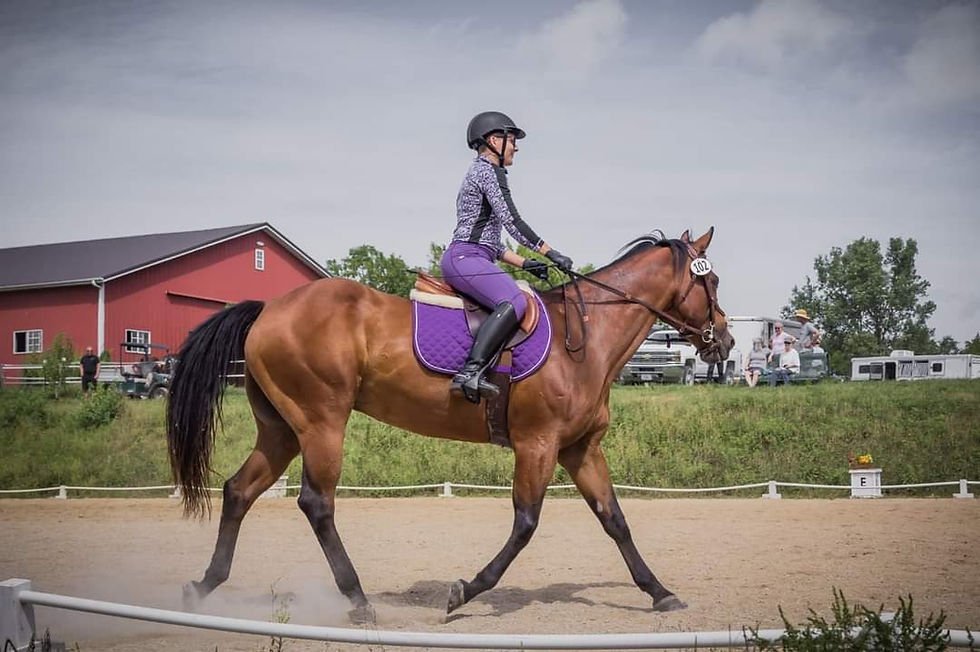 Jackpot Performance Horse Show