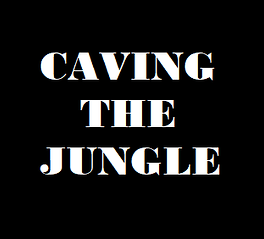 cavinglogo.png