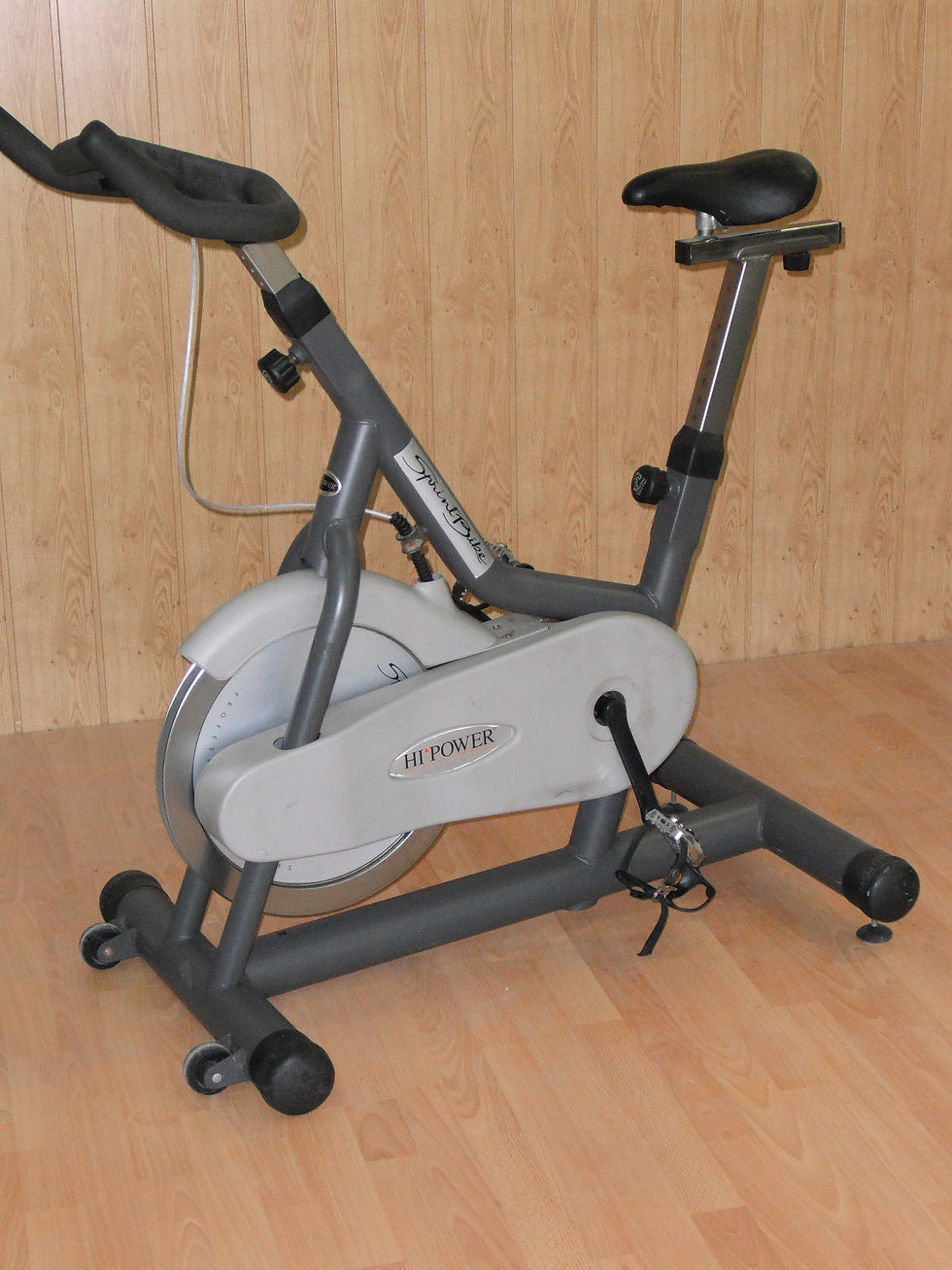 Bike spinning pro ocasión (150€)