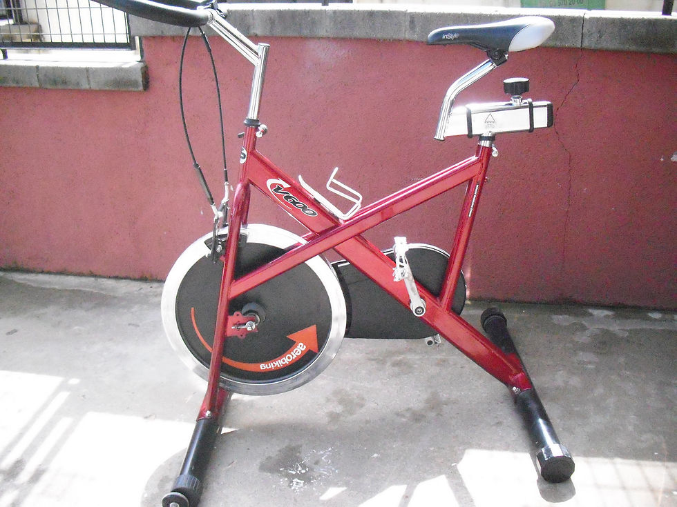 Bicicleta spinning ocasión (150€)