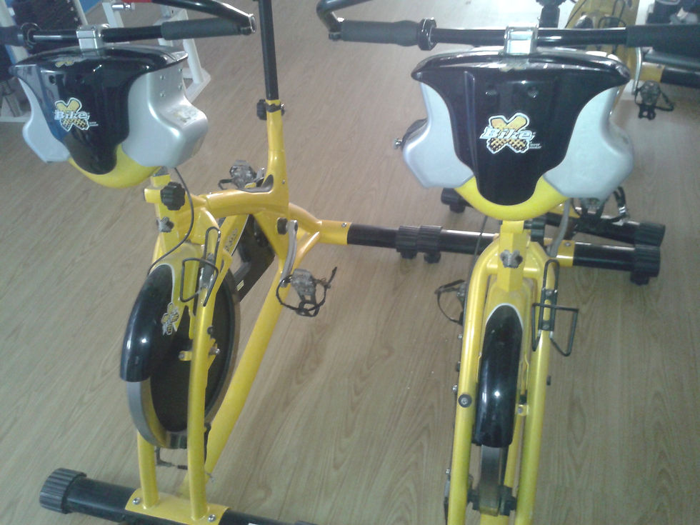 Bike spinning pro ocasión (150€)