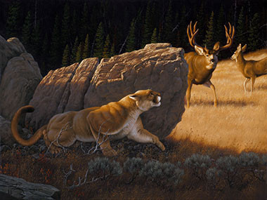 Cause for Alarm - Mule Deer and Mountain Lion - by Tom Mansanarez