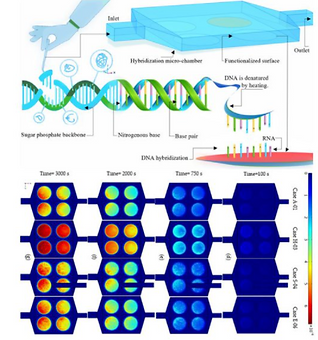 Flow Control Techniques for Enhancing the Bio-Recognition Performance of Microfluidic-Integrated Bio
