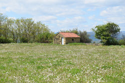 Petite maison dans la prairie
