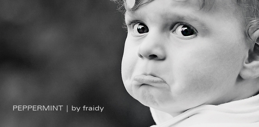 341_IMG_5406_vw copy.jpg