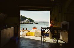 gloss by chris fite-wassilak